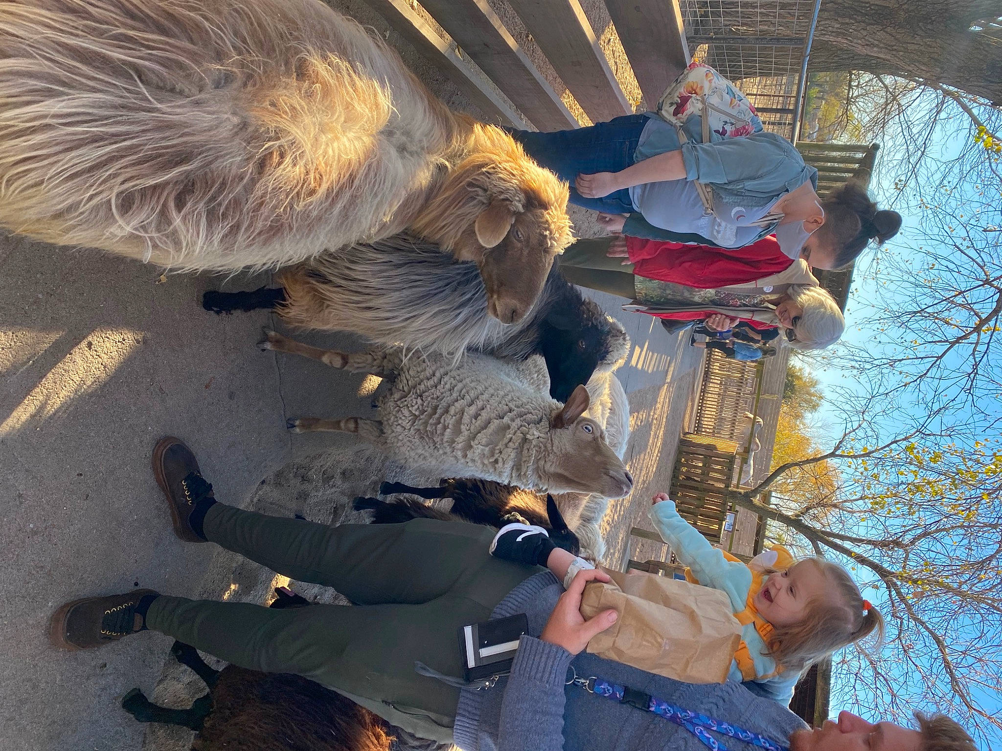 Camryn joined the competition — help win amazing prizes! aeolian_landform, blue, boot, fun, fur, hat, headgear, landscape, leisure, person, recreation, sky, tree, winter, working_animal