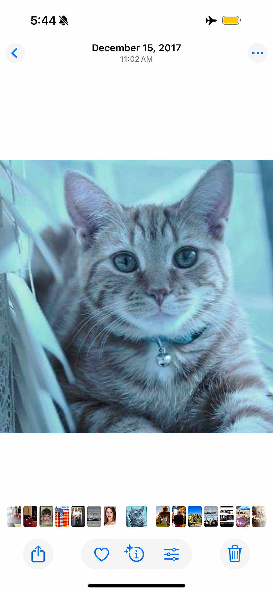 Felix