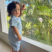 Luan joined the competition — help win amazing prizes! toddler, child, standing, portrait, window, indoor, tropical_garden, palm_leaves, plants, greenery, sunlight, blue_sky, curly_hair, blue_outfit, barefoot, looking_at_camera, home, wooden_floor, glass_window, daylight