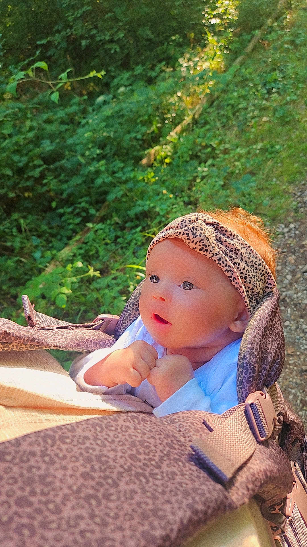 Maëllya participe au concours pour gagner de l'argent avec cette photo : baby, infant, headband, leopard_print, carrier, outdoor, nature, greenery, sunlight, curious, child, person, portrait, cute, young, hands, face, expression, daylight, explorer