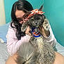 Ashley is registered to the contest to win money with this photo: bed, bedroom, blue_outfit, casual_clothing, cat, cute, feline, fluffy_cat, glasses, gray_cat, hat, holding, indoor, long_hair, looking_at_camera, pale_skin, person, pet, playful, sitting