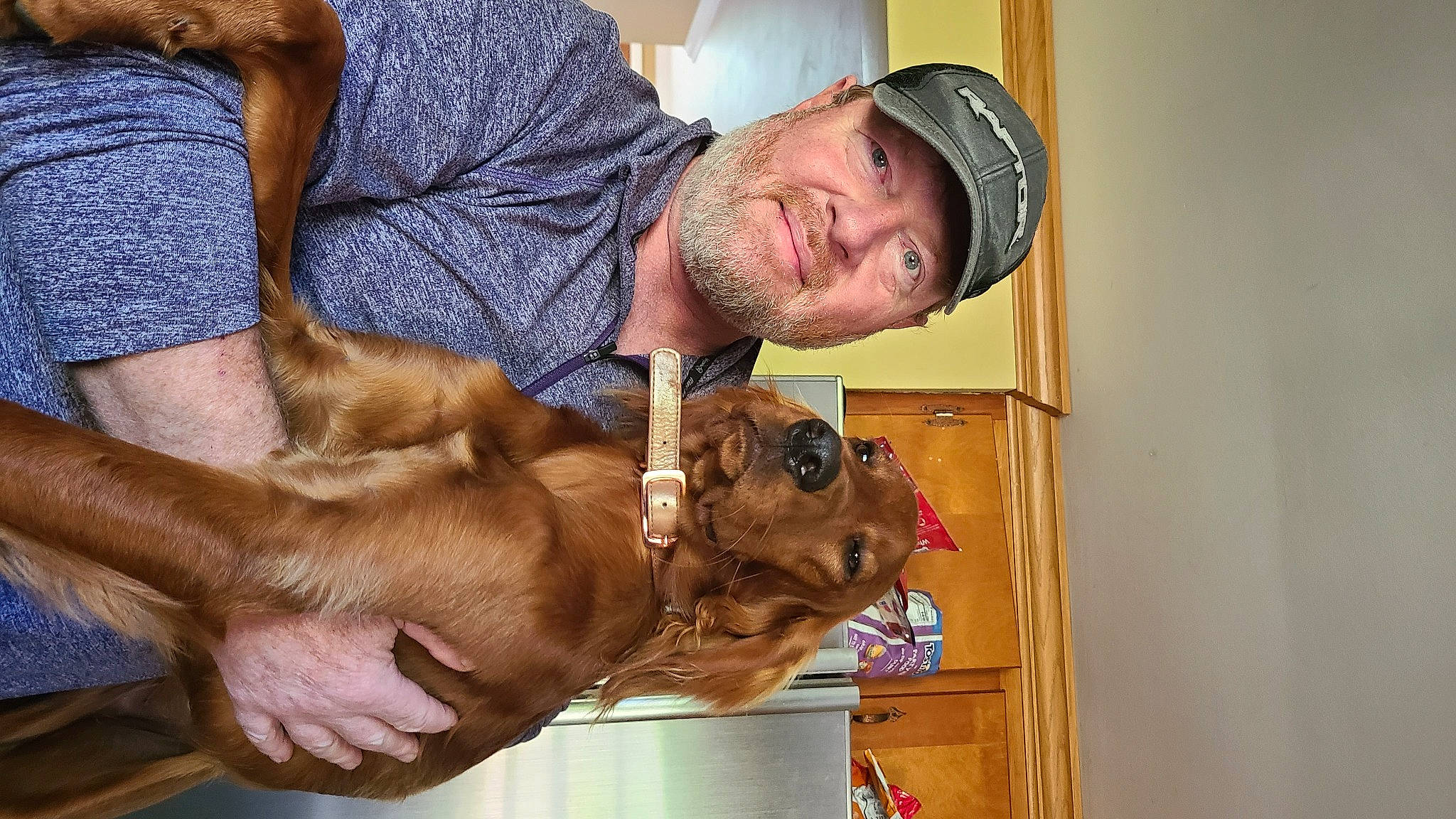 Norma is registered to the contest to win money with this photo: canidae, carnivore, companion_dog, dog, dog_breed, dogue_de_bordeaux, ear, fawn, mammal, pit_bull, snout, sporting_group