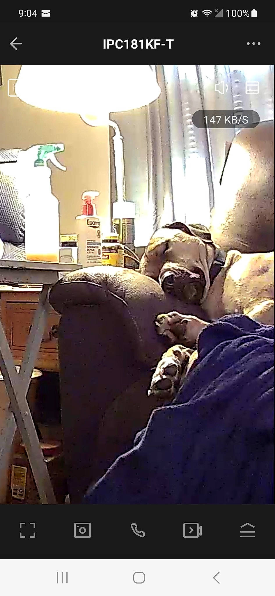 Duke joined the competition — help win amazing prizes! bed, bedding, bedroom, cameras_optics, chair, comfort, flooring, hat, health_care, hospital, lamp, lighting, linens, medical, medical_equipment, personal_protective_equipment, room, service, sitting, tints_and_shades