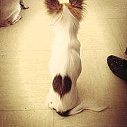 Plume a rejoint le concours — aidez-le/la à gagner de superbes lots !