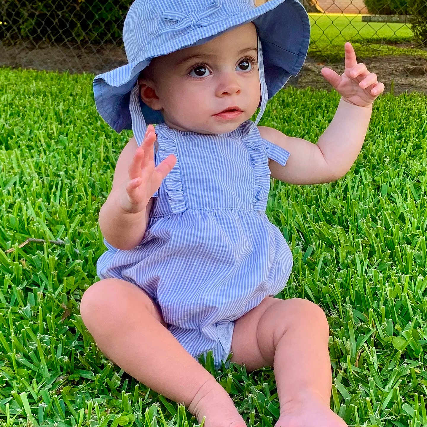 Isabella