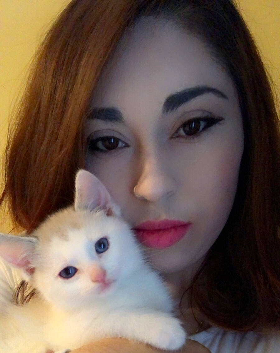 Bella is registered to the contest to win money with this photo: carnivore, cat, cheek, chin, ear, eye, eye_liner, eyebrow, eyelash, fawn, felidae, iris, jaw, lip, lipstick, makeover, nose, organ, skin, whiskers