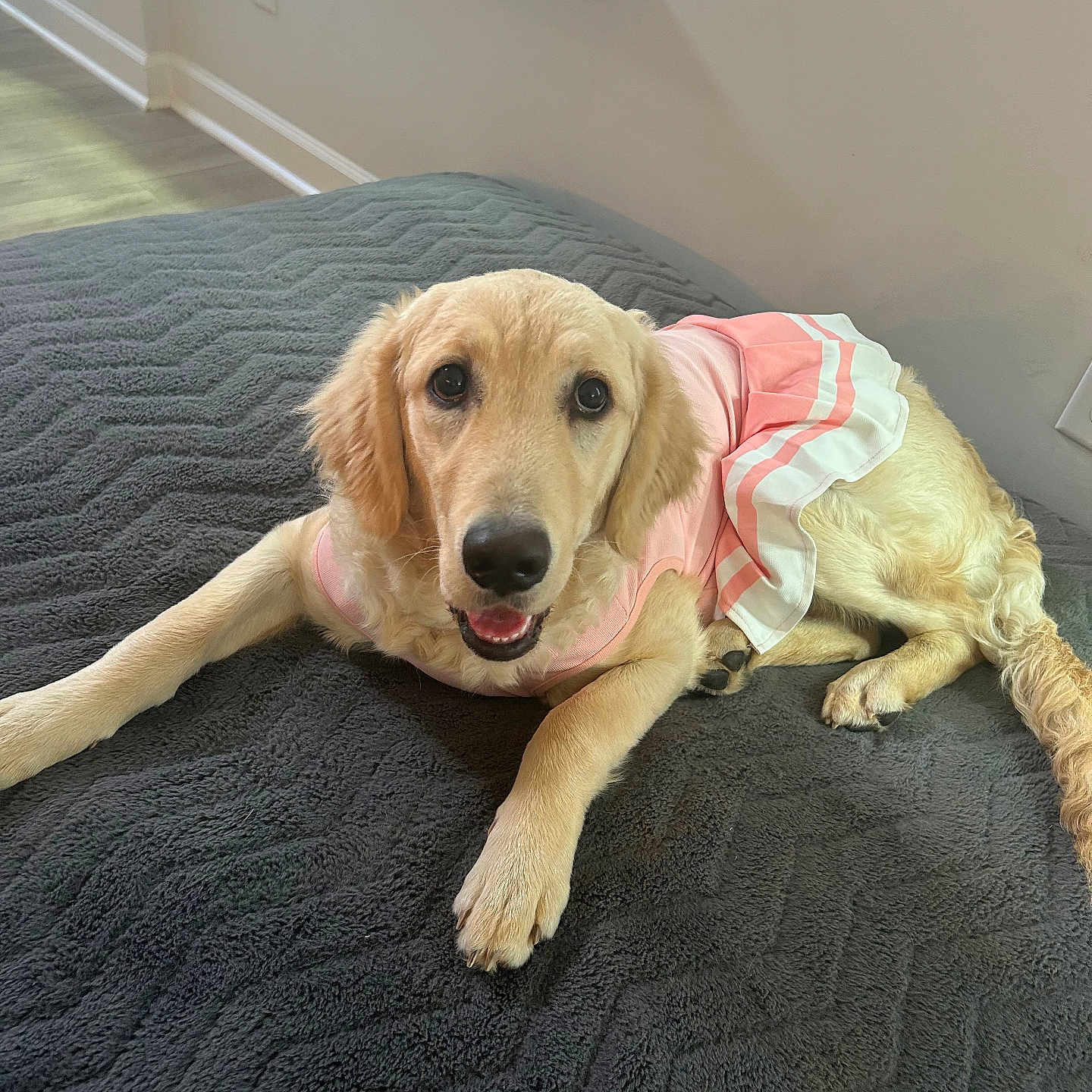 Nala