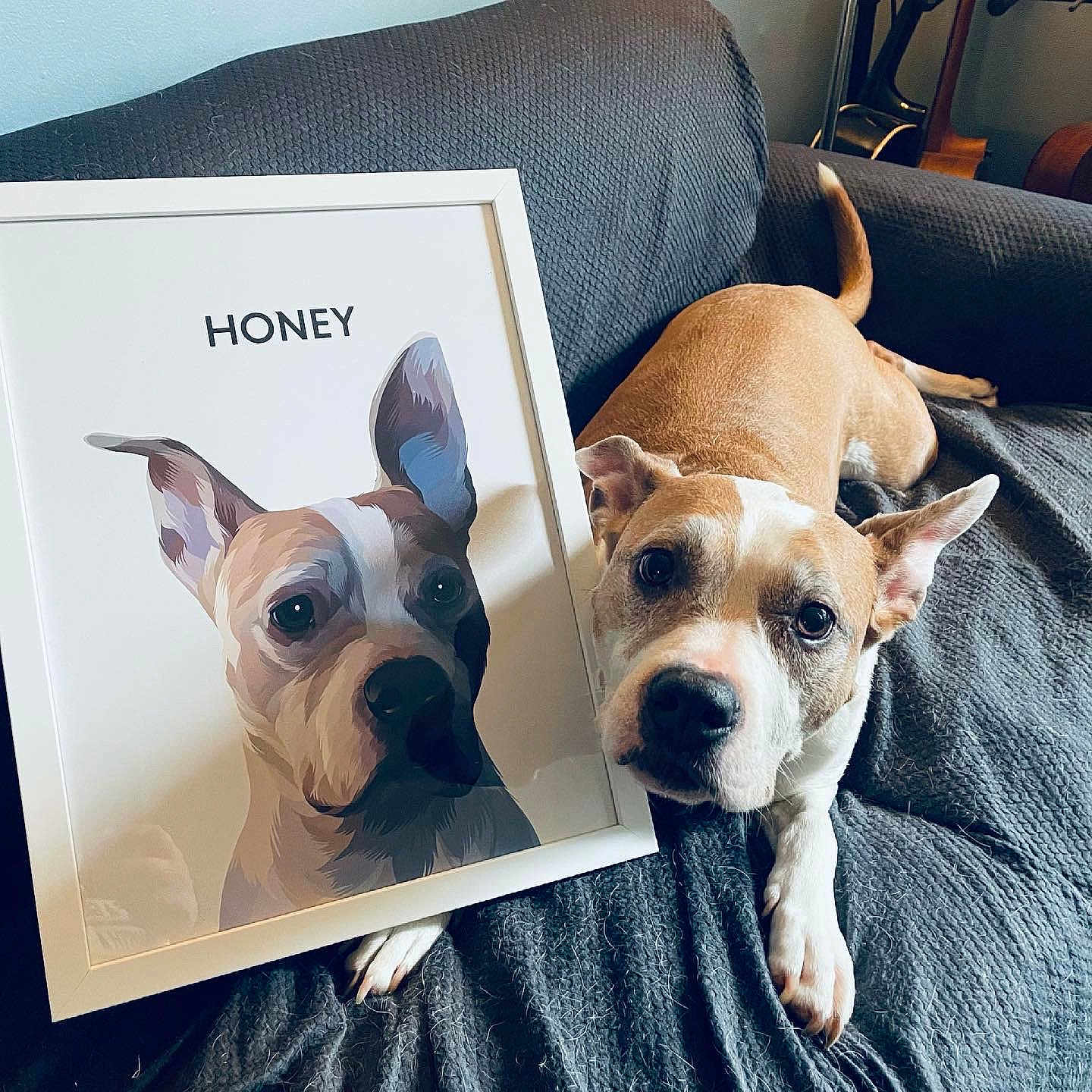 Honey joined the competition — help win amazing prizes! bulldog, canidae, carnivore, chair, collar, comfort, companion_dog, couch, dog, dog_breed, dog_collar, ear, fawn, mammal, selfie, snout, sporting_group, toy_dog, whiskers, working_animal