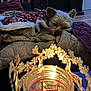 dog, pet, holiday_sweater, blanket, quilt, candle_holder, reindeer, decor, indoor, wood_floor, relaxed, sleepy, furniture, cozy, warm_lighting, christmas, festive, animal, resting, soft_texture