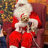 Abbi joined the competition — help win amazing prizes! armchair, carpet, christmas_decorations, christmas_tree, cozy, dog, festive, glasses, holiday, holiday_hat, indoors, leash, person, pet, phone, red_clothing, santa_claus, smiling_dog, warm_lighting, white_beard