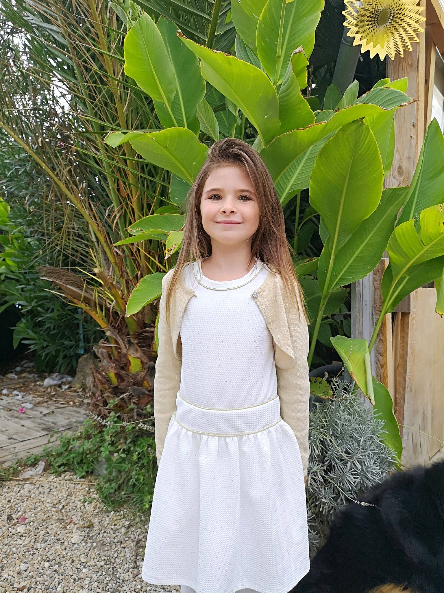 Leana a rejoint le concours — aidez-le/la à gagner de superbes lots ! day_dress, dress, eye, flower, grass, hair, hairstyle, happy, head, joy, leaf, long_hair, neck, people_in_nature, person, petal, plant, sleeve, smile, tree