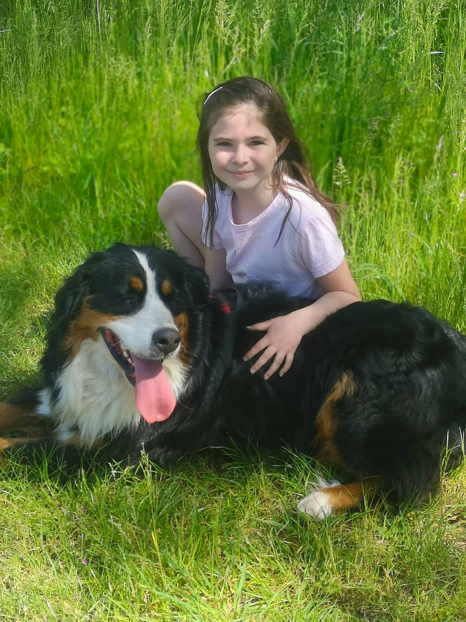 Leana a rejoint le concours — aidez-le/la à gagner de superbes lots ! canidae, carnivore, companion_dog, dog, dog_breed, fun, grass, happy, herding_dog, joy, leisure, mammal, people_in_nature, person, plant, recreation, sharing, smile, sporting_group, vertebrate