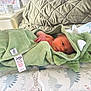 Albie is registered to the contest to win money with this photo: newborn, baby, towel, green, dinosaur, hooded_towel, cushion, pattern, bedroom, infant, sleeping, cute, soft, child, person, indoor, cozy, fabric, resting, wrapped