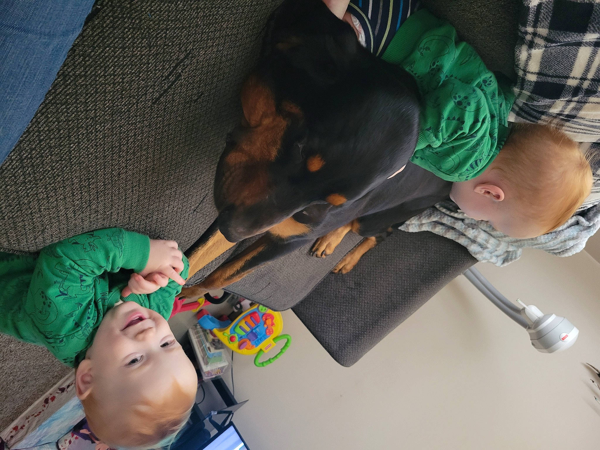 Hank joined the competition — help win amazing prizes! child, comfort, elbow, event, fun, green, hat, leisure, mouth, room, tartan, toddler, tree