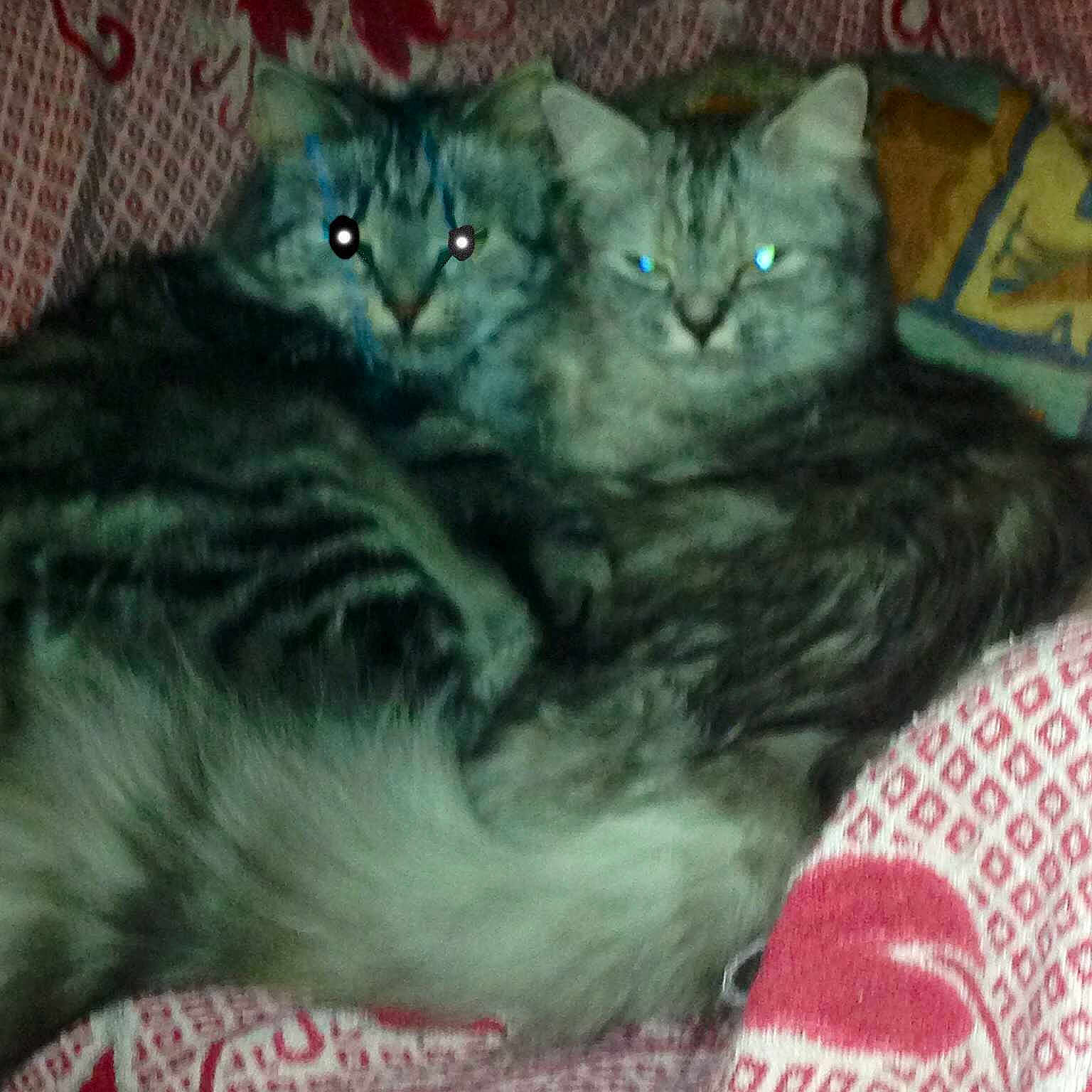 Dede Et Joyes