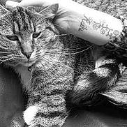 Reiki joined the competition — help win amazing prizes!