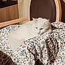 Petit Coton participe au concours pour gagner de l'argent avec cette photo : cat, white_cat, fluffy, animal, pet, indoor, chair, blanket, floral_pattern, wooden_furniture, relaxed, sleepy, domestic_cat, cozy, fur, resting, cute, mammal, home, comfort