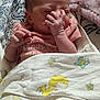 Leah Paige Henry joined the competition — help win amazing prizes! baby, infant, blanket, bed, hand, face, sleepwear, pattern, pink, towel, newborn, wrapped, cute, skin, person, lying, resting, indoor, soft, cozy