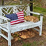 american_flag, animal, bench, cat, daytime, furniture, garden, grass, leaf, nature, outdoor, peaceful, pet, pillow, relaxing, rustic, sleeping, sunlight, tree, wood