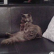 Hector participe au concours pour gagner de l'argent avec cette photo :