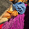 dog, brown_dog, blanket, purple_blanket, blue_blanket, gray_blanket, red_blanket, cozy, sunlight, playful, pet, fur, texture, resting, indoors, lying_down, paw, cute, small_dog, relaxed