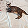 Peter
