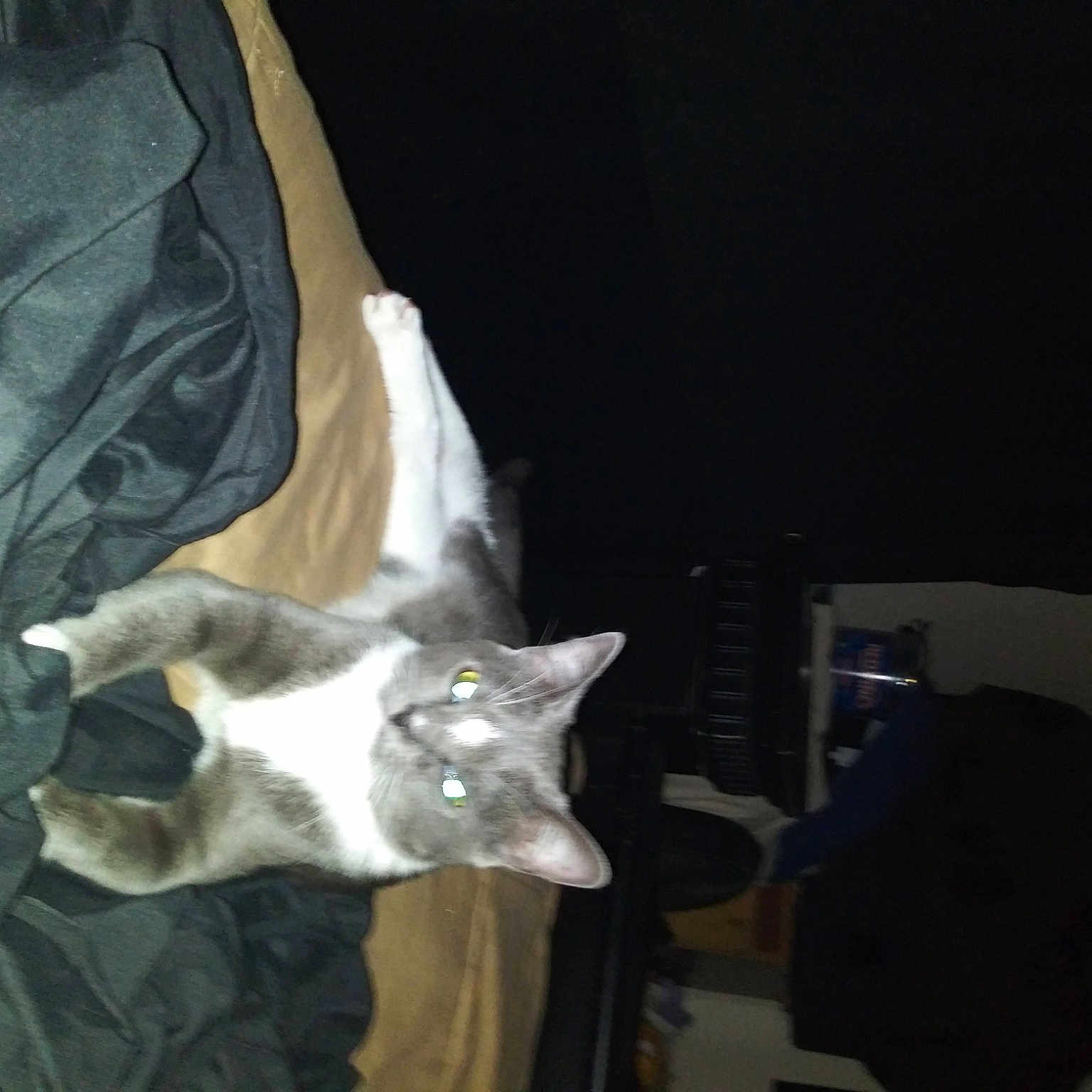 Pepper