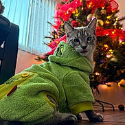 Shara joined the competition — help win amazing prizes! blinds, bokeh, cat, christmas_tree, costume, cozy, cute, feline, festive, green_onesie, hardwood_floor, holiday, indoor, living_room, ornament, pet, portrait, sitting, string_lights, tongue_out