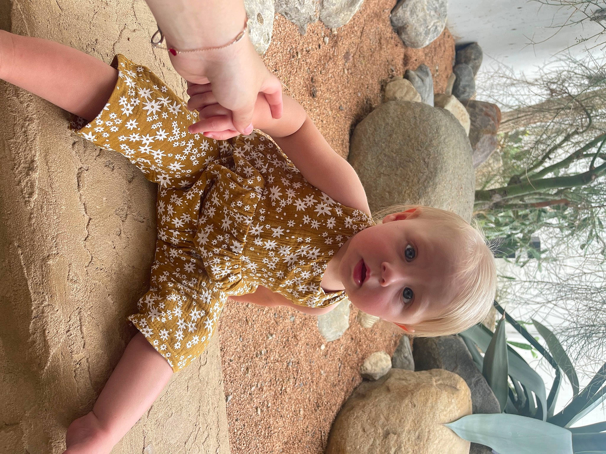 Cecilia is registered to the contest to win money with this photo: fawn, fun, gesture, grass, hand, happy, human_body, human_leg, people_in_nature, person, photograph, plant, skin, sunglasses, surprise, thigh, toddler, tree, waist, wood