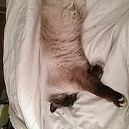 Illico participe au concours pour gagner de l'argent avec cette photo :