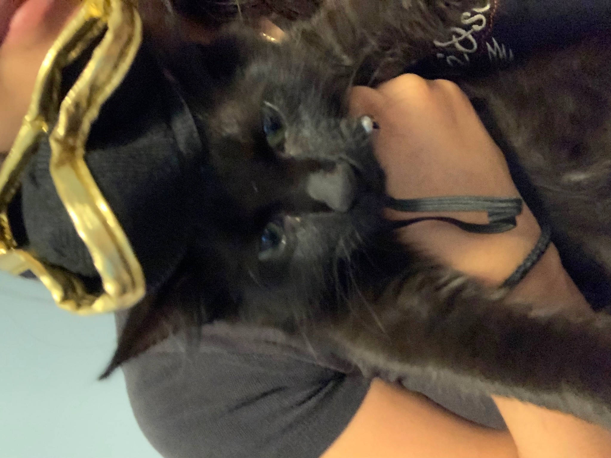 Estrella joined the competition — help win amazing prizes! beard, black_hair, dress, elbow, eyebrow, eyelash, eyewear, gesture, glasses, human_body, human_leg, jaw, long_hair, nail, sleeve, sunglasses, thigh, tree, waist, wrist