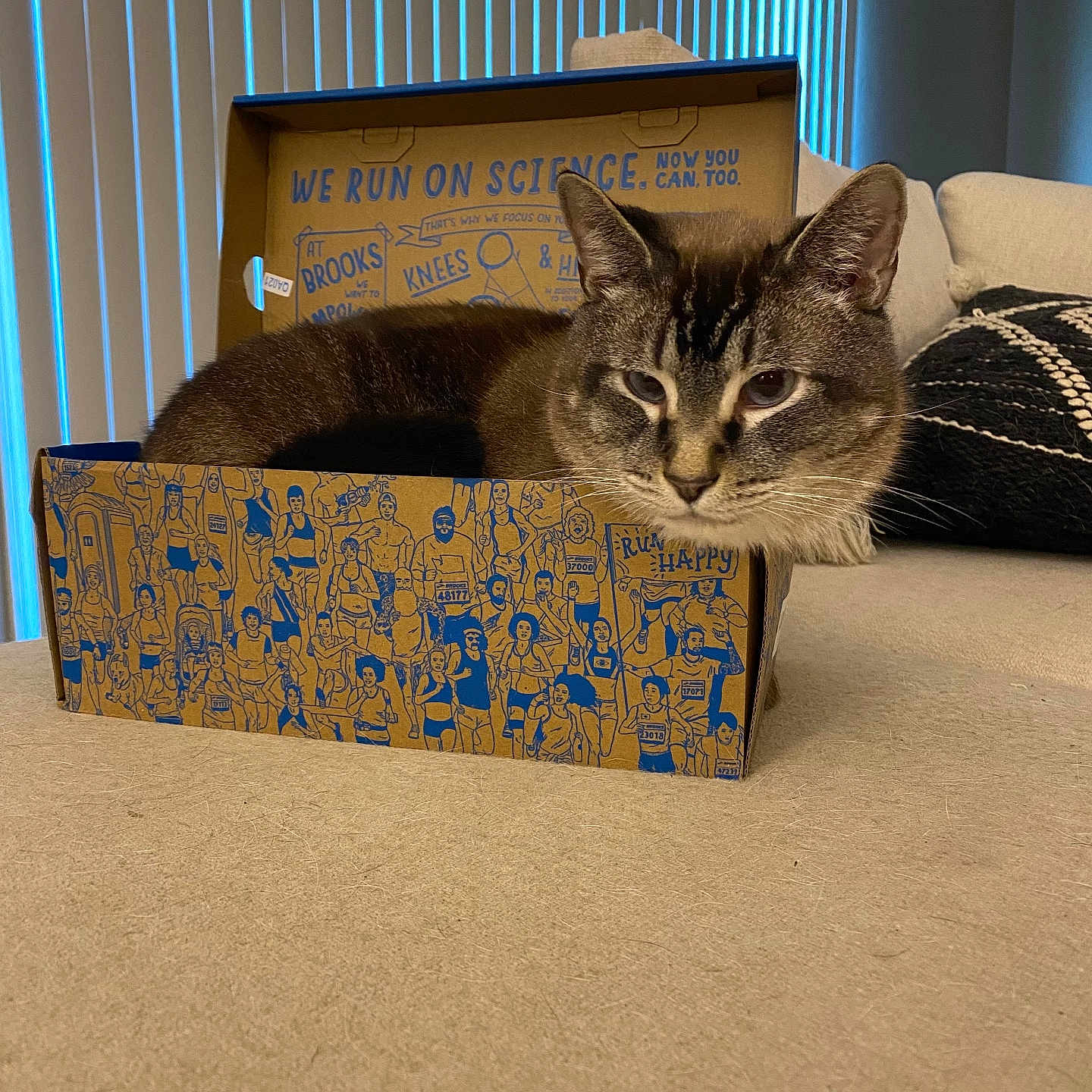 Tippy