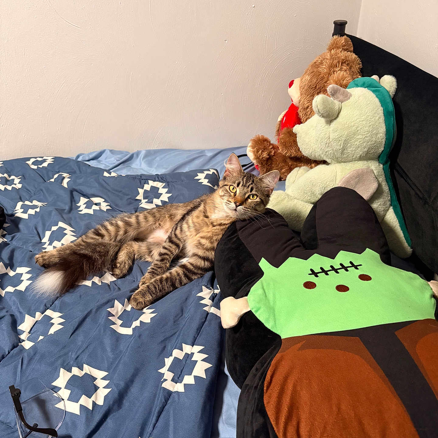 Fro is registered to the contest to win money with this photo: cat, tabby_cat, bed, blue_bedspread, stuffed_animals, teddy_bear, dinosaur_toy, plush_toy, indoor, feline, relaxed, lying_down, curious, goggles, bedroom, cozy, soft_toys, patterned_bedspread, resting, pet