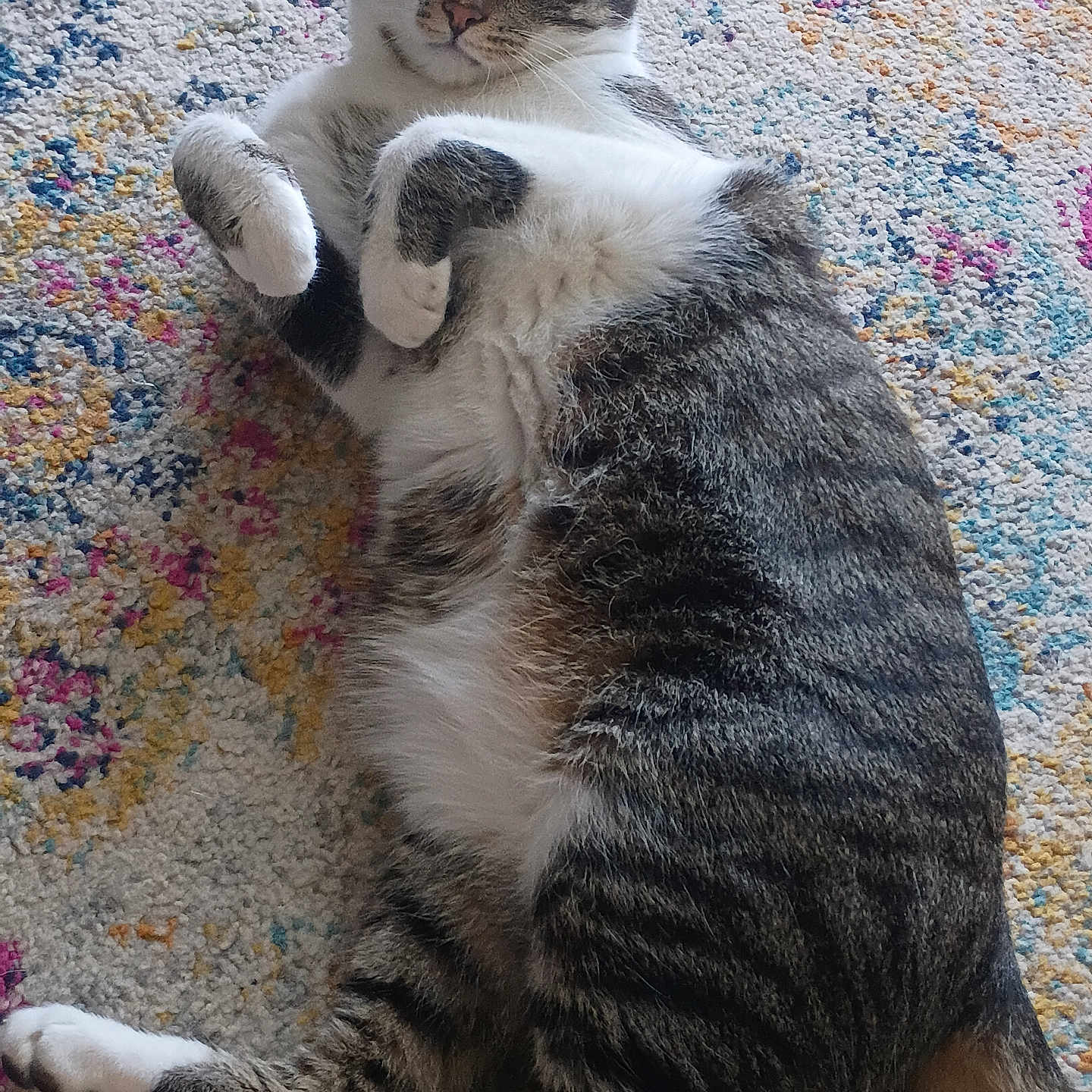 Jax