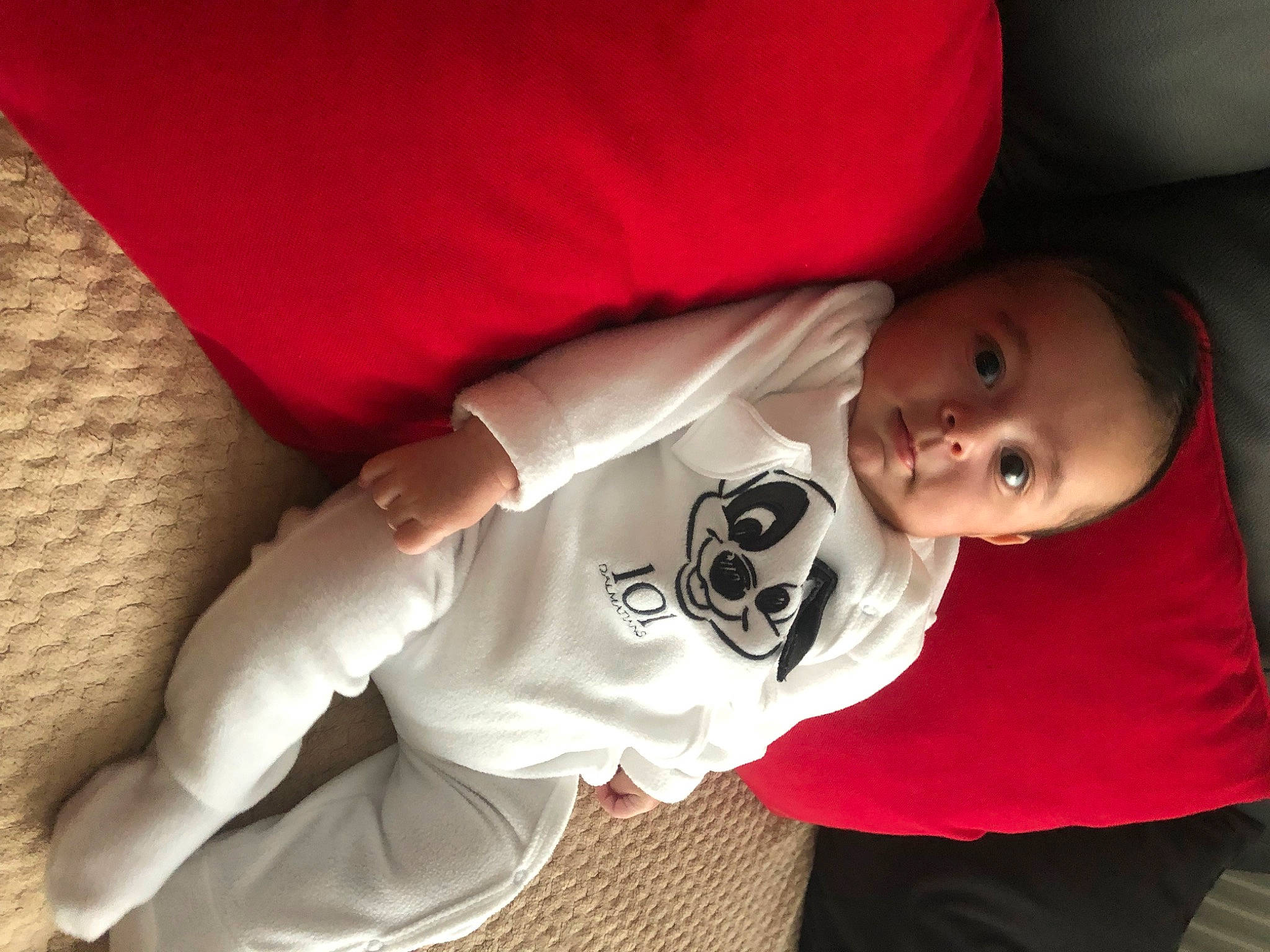 Luca participe au concours pour gagner de l'argent avec cette photo : arm, baby, baby_toddler_clothing, carmine, cheek, child, comfort, elbow, finger, mammal, mouth, nose, orange, person, sitting, skin, sleeve, smile, textile, toddler