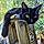 Bagheera