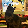 black_cat, cat, computer_screen, anime, desk, keyboard, poster, book, indoor, feline, watching, electronics, monitor, fur, animal, home_office, cluttered, sitting, curious, screen