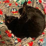 black_cat, cat, blanket, penguin_pattern, sleeping, cozy, fur, animal, pet, indoor, soft_texture, curled_up, resting, cute, mammal, feline, warm, colorful, pattern, comfort