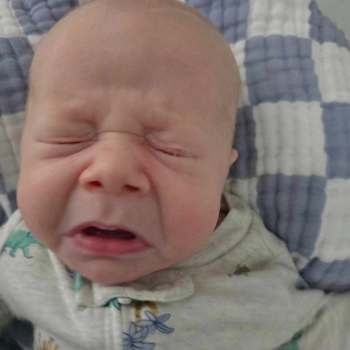 Jack Jack joined the competition — help win amazing prizes! animal_prints, baby, blanket, closeup, clothing, crying, emotion, expression, face, head, indoor, infant, newborn, onesie, pattern, person, quilt, skin, sleepwear, young_child