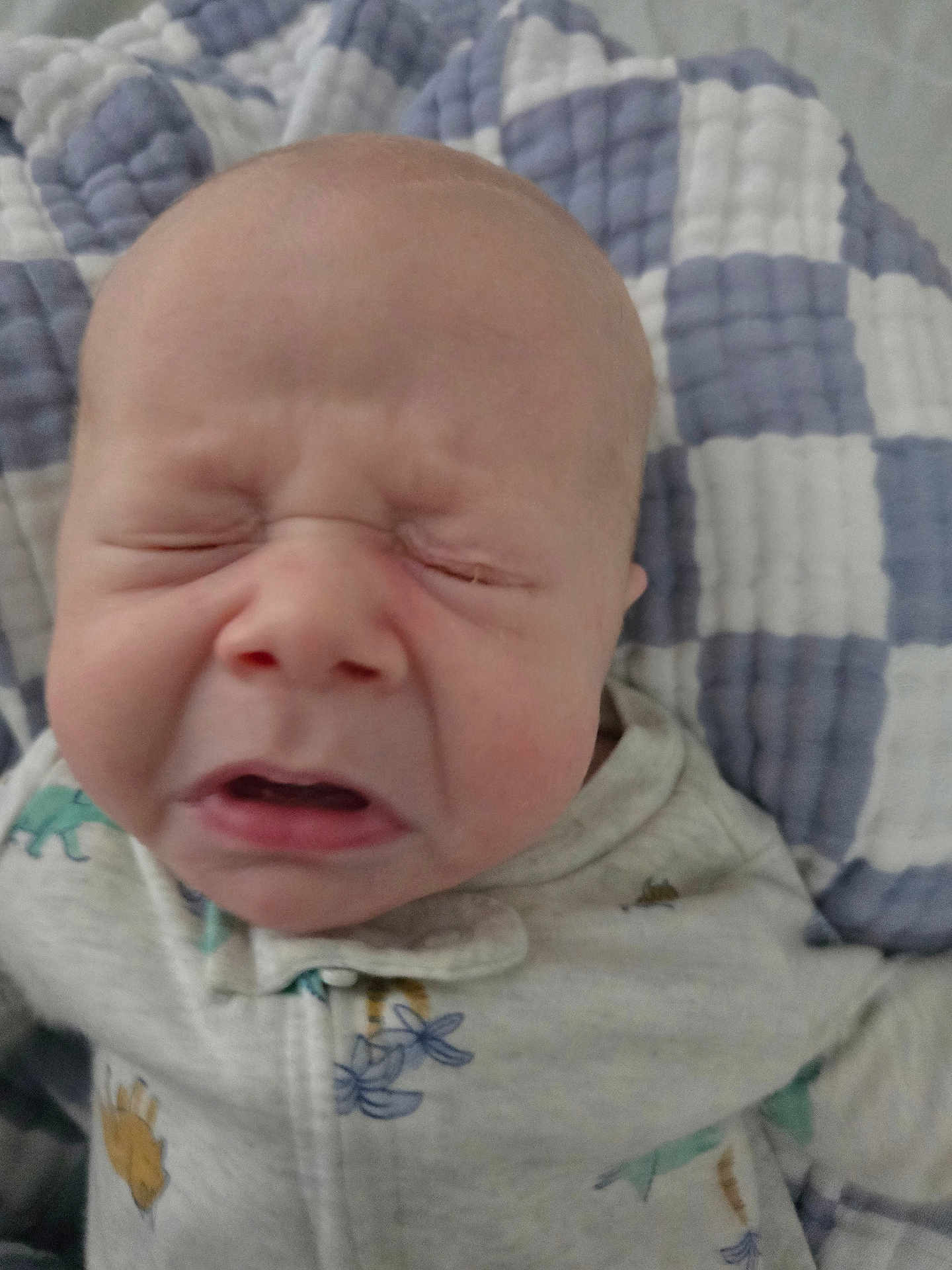 Jack Jack joined the competition — help win amazing prizes! animal_prints, baby, blanket, closeup, clothing, crying, emotion, expression, face, head, indoor, infant, newborn, onesie, pattern, person, quilt, skin, sleepwear, young_child