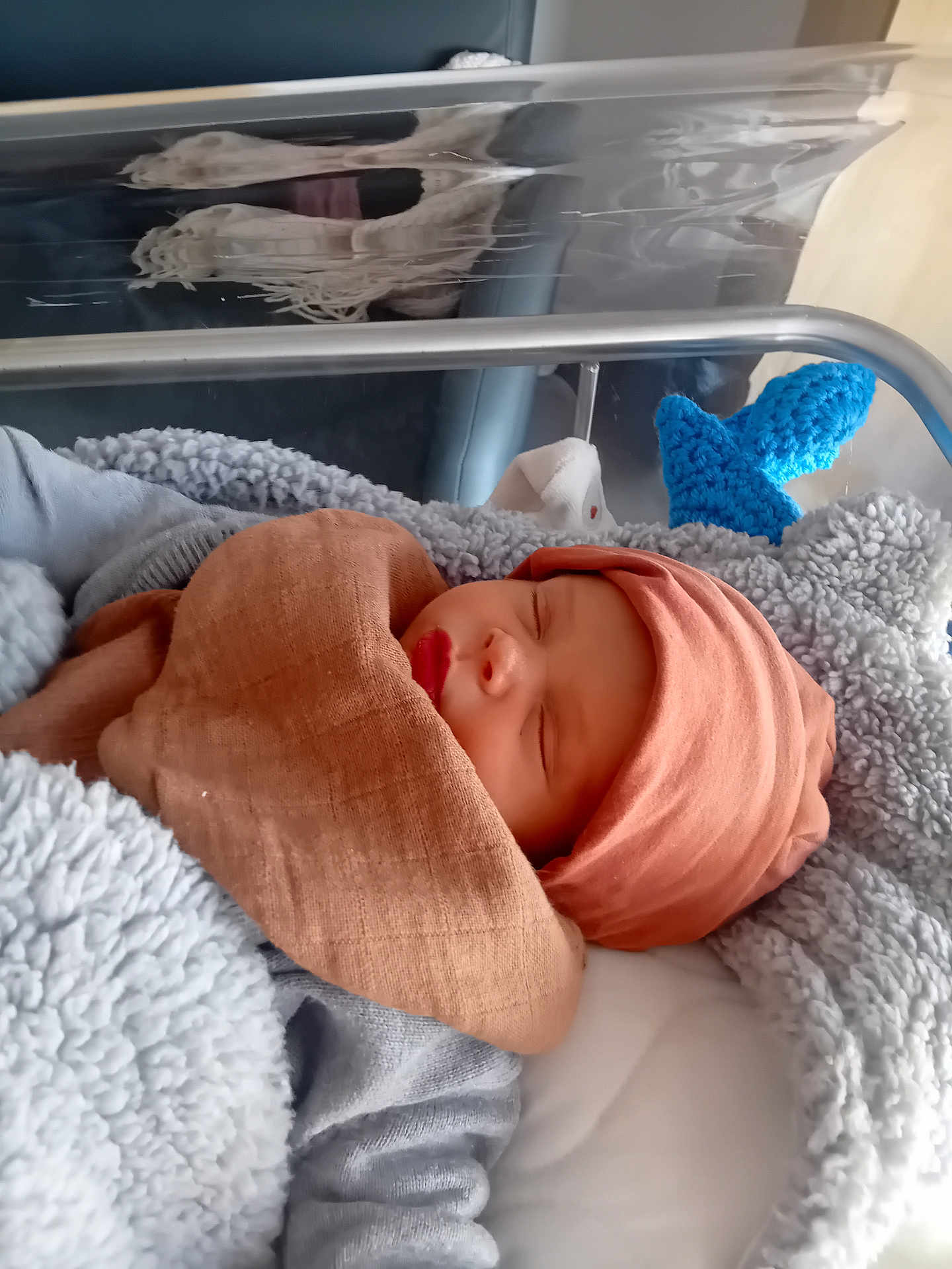 Damon a rejoint le concours — aidez-le/la à gagner de superbes lots ! newborn, baby, sleeping, blanket, hat, hospital, bassinet, soft_toy, cozy, infant, child, cute, resting, wrapped, knitted, blue, pink, fabric, peaceful, indoor