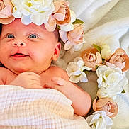 Melissa joined the competition — help win amazing prizes! baby, flower_crown, blanket, infant, soft_texture, pink_flowers, white_flowers, cute, portrait, closeup, laying_down, skin, newborn, head, cheeks, hand, happy, innocent, indoor, cozy