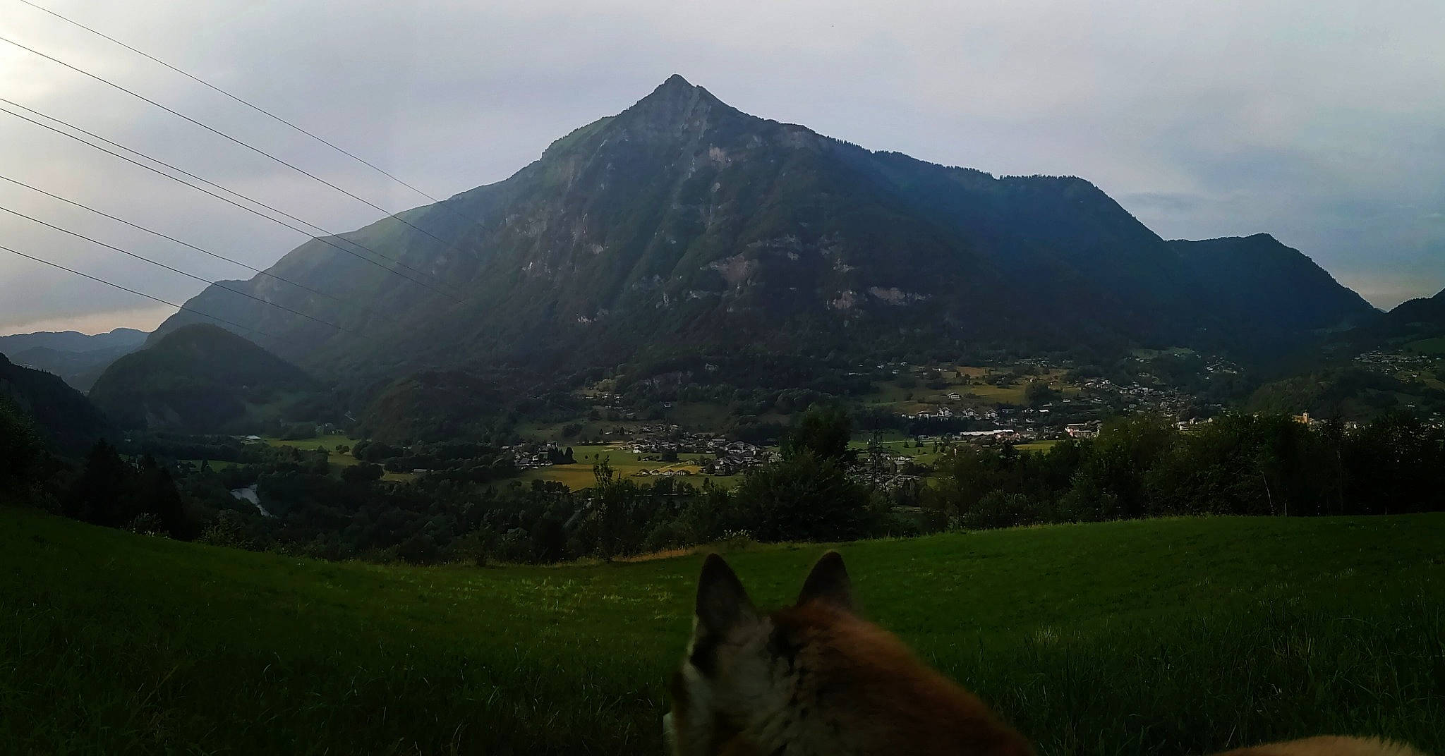 Aslo participe au concours pour gagner de l'argent avec cette photo : atmospheric_phenomenon, carnivore, cloud, dog, field, grass, grassland, highland, hill, landscape, meadow, mountain, mountain_range, natural_landscape, plant, rural_area, sky, slope, tree, working_animal