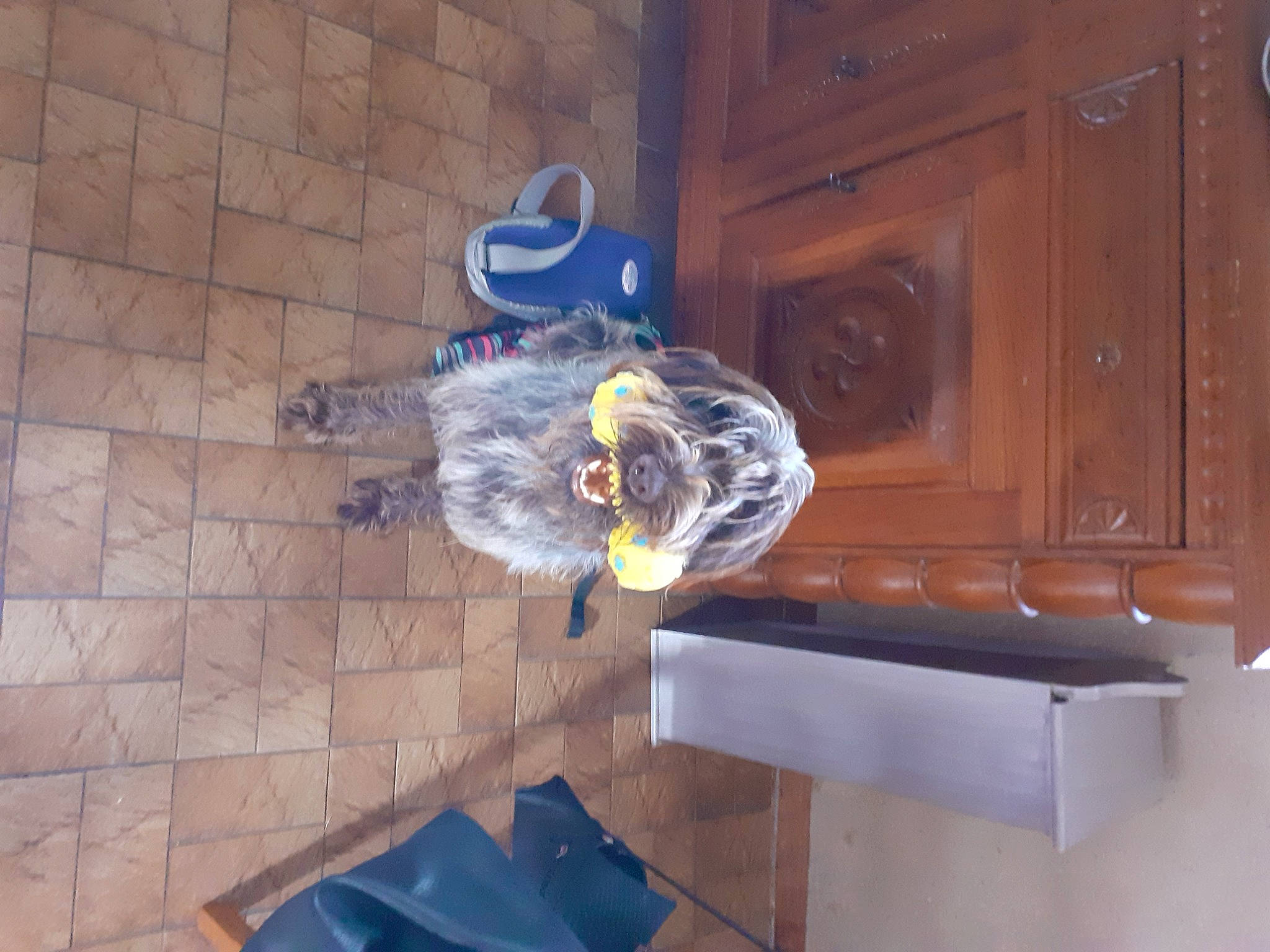 Prunelle participe au concours pour gagner de l'argent avec cette photo :