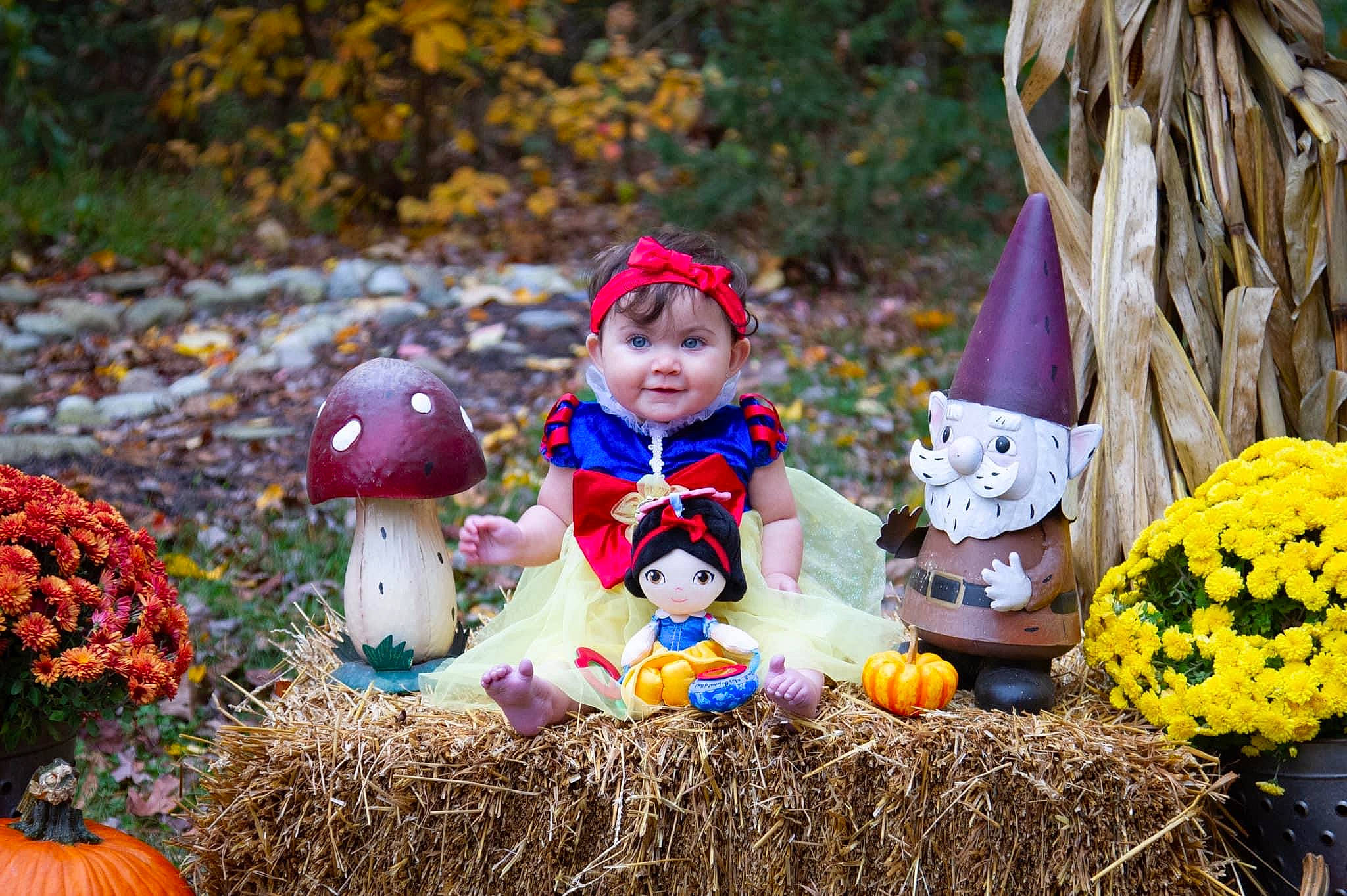 Quinn is registered to the contest to win money with this photo: calabaza, cucurbita, event, flower, gourd, grass, happy, headwear, landscape, lawn_ornament, natural_foods, orange, people_in_nature, person, photograph, plant, pumpkin, toddler, toy, tree
