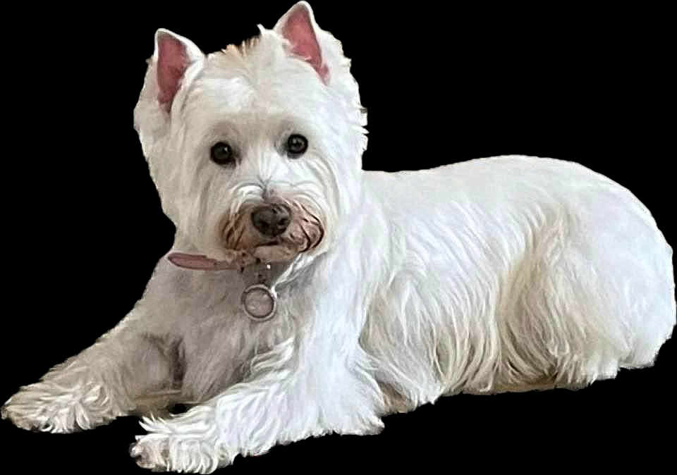 Bonnie
