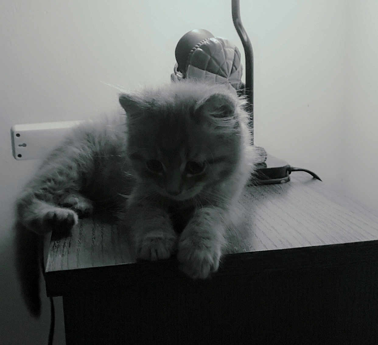 Mistigris