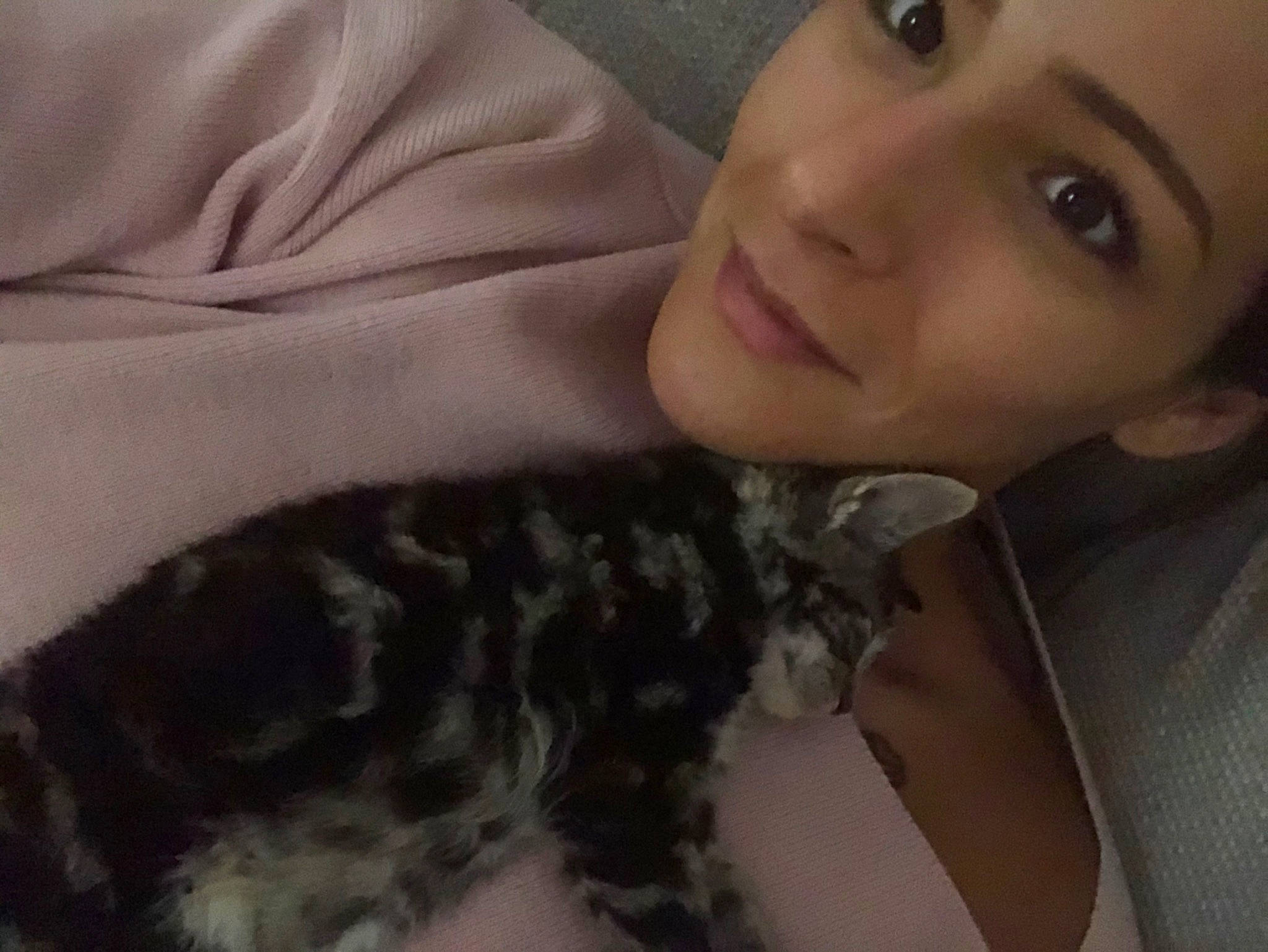 Teggs is registered to the contest to win money with this photo: beauty, black_hair, carnivore, cat, cheek, ear, eye, face, felidae, fur, hair, head, lip, long_hair, mouth, nose, organ, skin, small_to_medium_sized_cats, whiskers