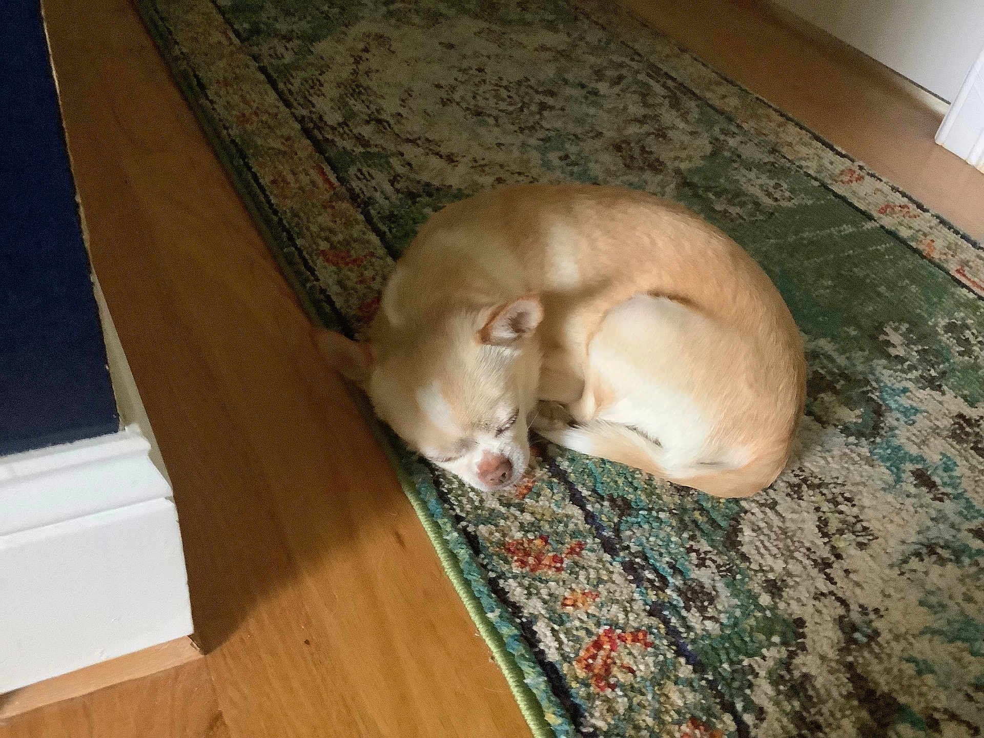 Twinkie
