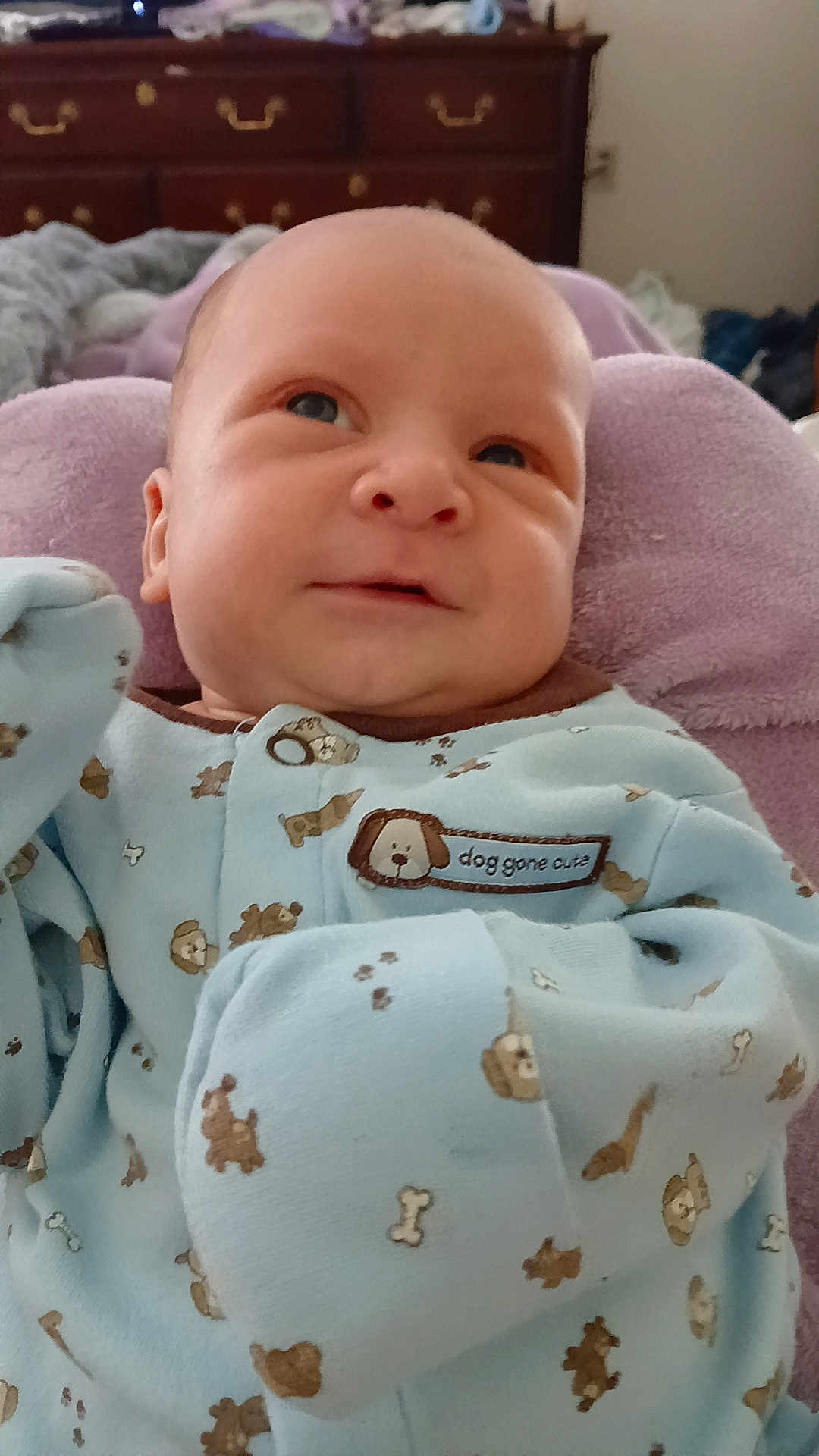 Thomas Ray joined the competition — help win amazing prizes! baby, blanket, blue_clothing, child, curious, cute, dog_pattern, dresser, expression, face, furniture, indoors, infant, newborn, onesie, portrait, purple_blanket, sleepwear, small, soft_texture